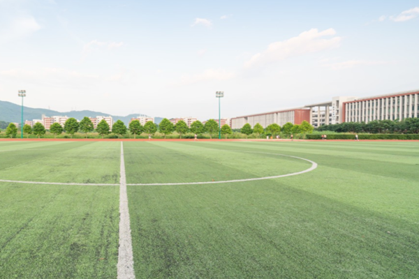 什么是蜜桃视频网址校园？蜜桃视频网址校园发展内涵是？